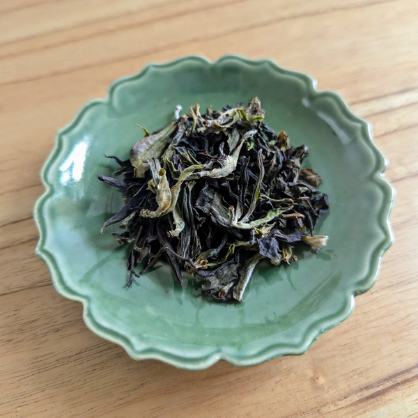 Dish of Anna Ye Tea Spring Forest White Tea